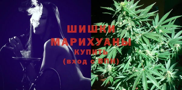молекула духа Лагань