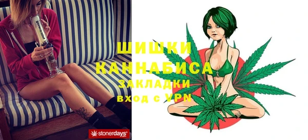 молекула духа Лагань