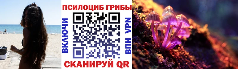 Купить закладки  Навашино  Псилоцибиновые грибы Psilocybine cubensis 